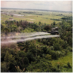 This image has an empty alt attribute; its file name is helicopter-spraying.jpg